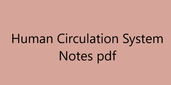 Human Circulation System Notes pdf