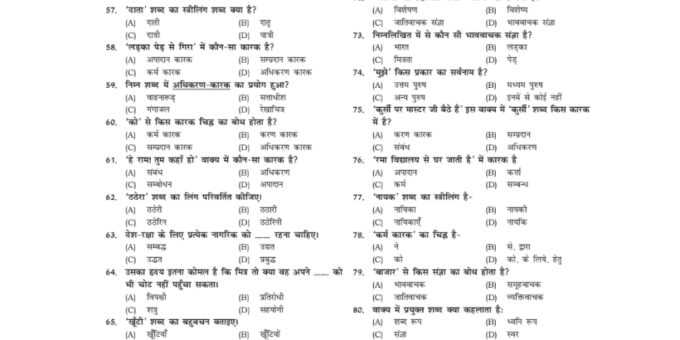 Best Objective Type Hindi Grammar pdf for KVS