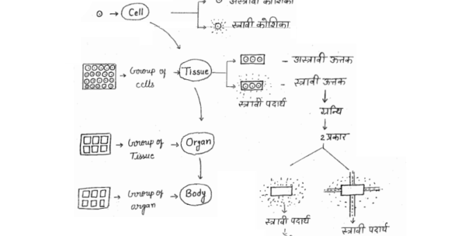 Biology Notes pdf- Bihar Teacher 2023