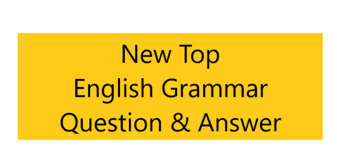 New Top English Grammar Question & Answer