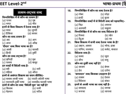 REET Hindi Grammar- MCQs pdf in Hindi