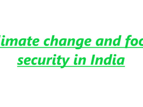 Climate change and food security in India