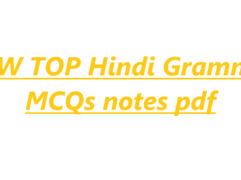 NEW TOP Hindi Grammar MCQs notes pdf