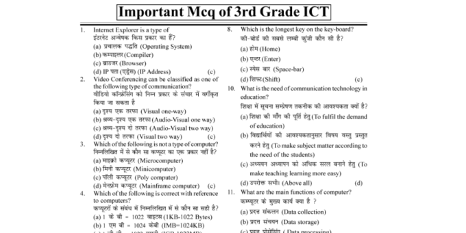 New Top REET MAINS ICT MCQs pdf in Hindi
