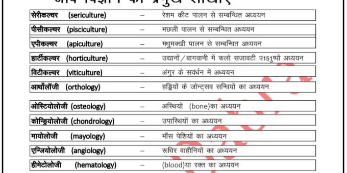 General Science Objective Questions Answers in Hindi PDF