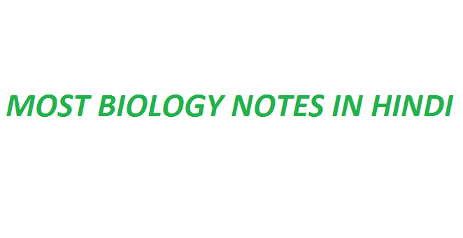 MOST BIOLOGY NOTES IN HINDI