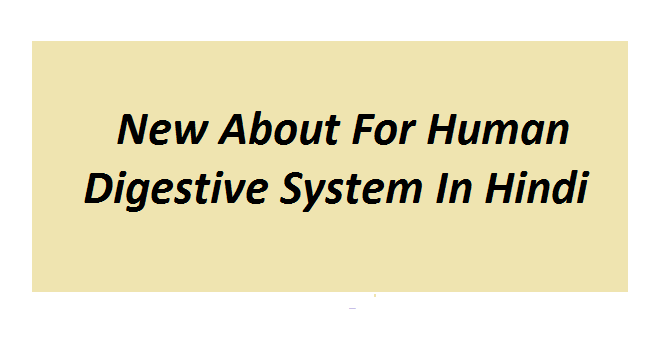 New About For Human Digestive System In Hindi