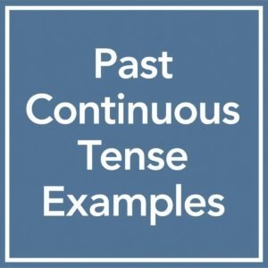 Past Continuous Tense Examples